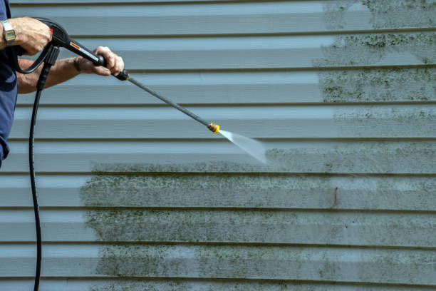 Best Driveway Pressure Washing  in Whitmore Lake, MI